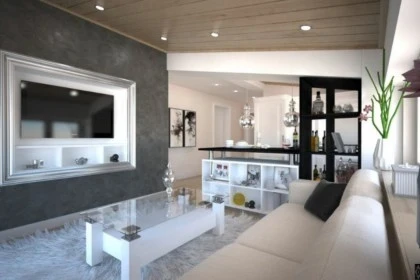 Apartment Interior Design -