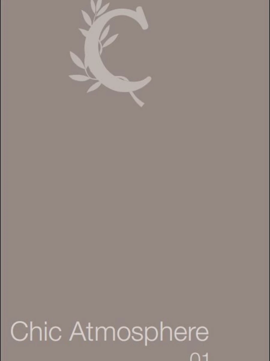 catalogo chic atmosphere v2